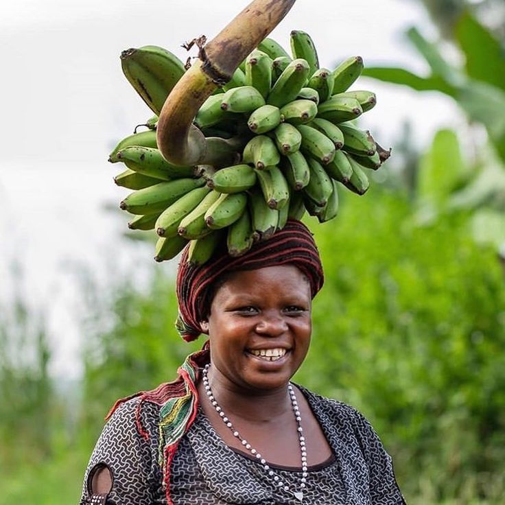Farmer carrying a fresh bunch of bananas to market